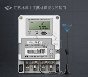 江蘇林洋DDZY71 -J丨 1級 單相NB-IoT無線預(yù)付費智能電表 