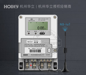 杭州華立DDZY285-J 丨 1級 單相NB-IoT無線預(yù)付費智能電表